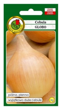Cebula Globo 3g Nasiona Późna Plenna Duża Smaczna