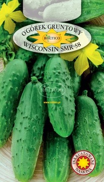 Ogórek Wisconsin SMR 58 5g ST ROLTICO nasiona inkrustowane