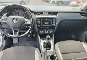 Skoda Octavia III 2017 Skoda Octavia Skoda Octavia 1.6 TDI Edition 1.6 Diesel 110KM, zdjęcie 14