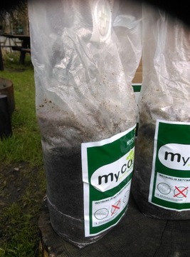 Генератор CO2 Мини 2х1 кг для выращивания растений - Mycomed