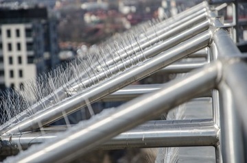 NIERDZEWNE KOLCE NA PTAKI GOŁĘBIE SZEROKIE 180MM