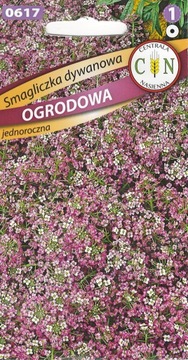 Smagliczka dywanowa ogrodowa fioletowa miododajna na cały sezon nasiona