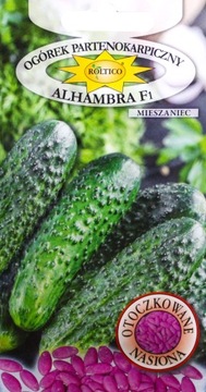 Ogórek gruntowy Alhambra F1 nasiona otoczkowane ok. 50 sztuk