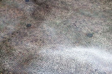 МОЮЩИЙСЯ ВИНИЛОВЫЙ КОВРИК ДЛЯ ДВОРА 50X50 СМ - ЧИСТЫЙ