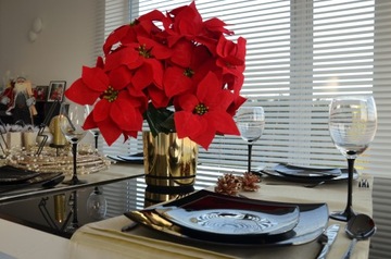 золотое рождественское украшение ВИФЛЕЕМСКИЙ ЦВЕТОК обложка 14