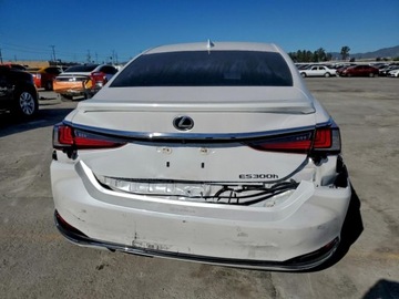 Lexus ES VII (XV70) 2024 Lexus ES 300h Base 2024 2.5 Hybryda 215KM, zdjęcie 2