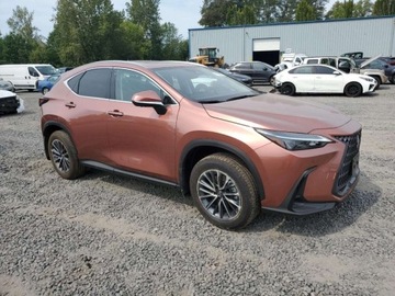 Lexus NX II 2025 Lexus NX 350H Base 2025 2.5l 2.5 Hybryda 240KM, zdjęcie 4