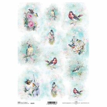 Papier ryżowy do decoupage akwarele ptaszki wiosna