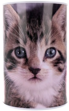 БОЛЬШАЯ МЕТАЛЛИЧЕСКАЯ КОРОБКА ДЛЯ ДЕНЕГ XXL БАНКНОТЫ КАТ. 3