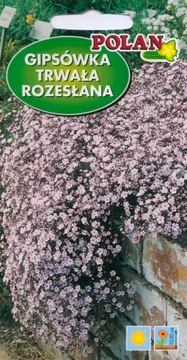 Gipsówka rozesłana 1g POLAN