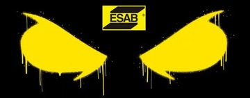ОЧКИ ESAB ЗАЩИТНЫЕ ОЧКИ ОТ БРЫЗГОВ