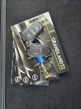 Opel 2021 Opel Grandland X 224ps, Full Led, Blis, Navi, Kame, zdjęcie 39