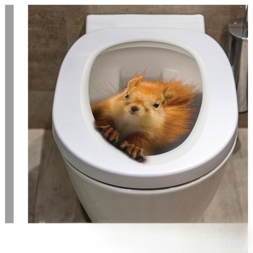 ТРЕХМЕРНАЯ НАКЛЕЙКА НА УНИТАЗ БЕЛКА СИДЕНЬЕ ДЛЯ УНИТАЗА БЕЛКА