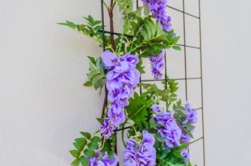 САДОВЫЙ ТРЮК ДЛЯ ЦВЕТОВ ДЛЯ ВЗЛЫТЫХ РАСТЕНИЙ 65х170