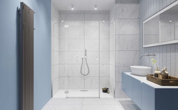 Душевая дверь Torrenta DWJS 170x195 RADAWAY