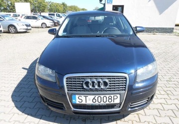 Audi A3 8P Hatchback 3d 1.9 TDI 105KM 2006 Audi A3 Sportback Audi A3 II (8P) sportbag 1.9 Diesel 105KM, zdjęcie 1