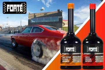 FORTE 01-3 для бензина, чистка форсунок, колец, GPF, EGR, Lambda