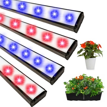 LAMPA do uprawy roślin Świetlówka LED GROW 4x50cm niebieski i czerwony