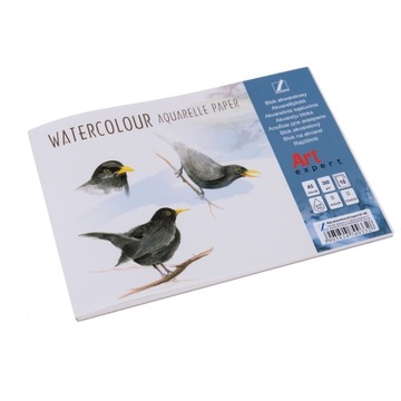 Blok akwarelowy Art Expert A5-10 300g