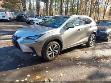 Lexus NX I 2020 Lexus NX 300 LUXURY, 4x4, od ubezpieczalni 2.0 Benzyna 235KM, zdjęcie 2