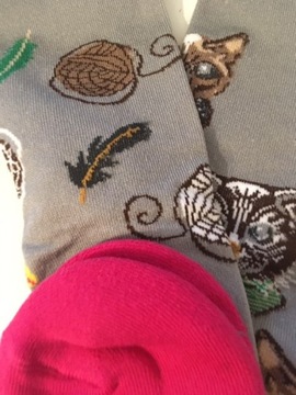 Гольфы COMODO для верховой езды кошки серые 39-42