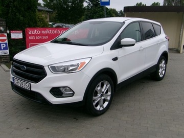 Ford Kuga III 2019 Ford Escape Kuga 1.5 benzyna Automat