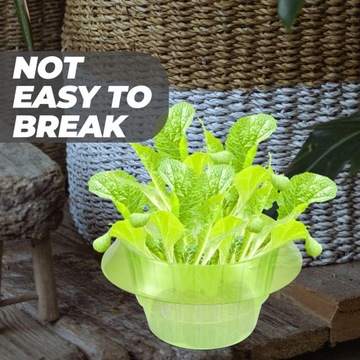 ЗАЩИТА ОВОЩНЫХ УЛИТОК