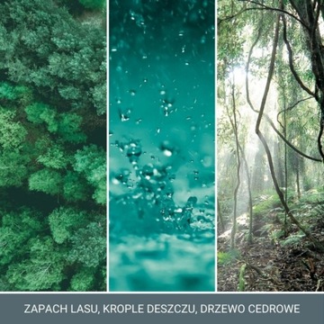 Yankee Candle BAYSIDE КЕДРОВЫЙ воск