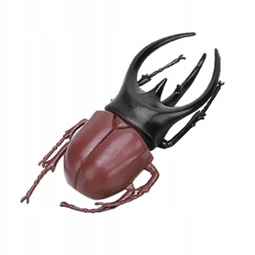 6 sztuk Symulacja Beetle Owad Model Halloween