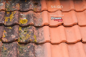 Чистка брусчатки, клинкерной плитки 5л.