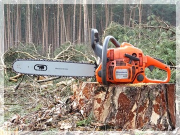 Фирменная пильная цепь 325 1,5 66 прох. 40 см