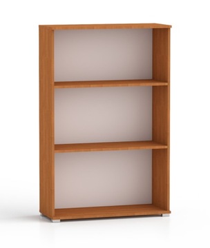 KOMPAKTOWYA SZAFKA KSIĄŻKOWY BIBLIOTECZKA Olcha