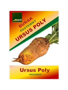 BURAK PASTEWNY WIELOKIEŁKOWY ŻÓŁTY - 0,1 KG