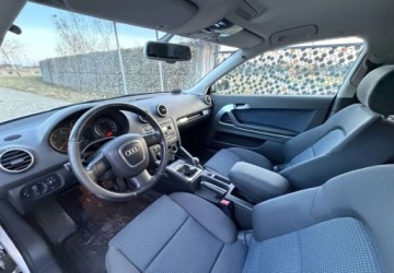 Audi A3 8P Hatchback 3d 2.0 TDI PD 140KM 2005 Audi A3 3-drzwiowe Audi A3 3-drzwiowe 2.0 TDI Attraction 2.0 Diesel 140KM, zdjęcie 22