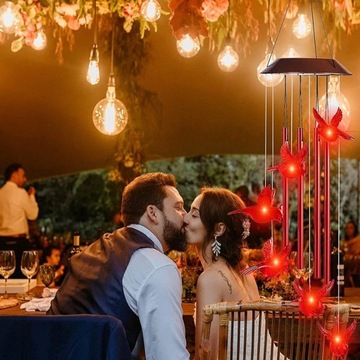 СОЛНЕЧНЫЕ СВЕТИЛЬНИКИ ДЛЯ ПТИЦ ДЕКОРАТИВНОГО ТИПА СВЕТОДИОДНЫЙ ВЕТРОВОЙ КОЛОКОЛЬЧИК