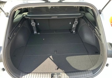 Kia Ceed III Kombi Facelifting 1.5 T-GDI 140KM 2025 Kia Ceed TRIBUTE dostepny od reki od KIA WOJTANOWICZ Gdynia 1.5 Benzyna, zdjęcie 12