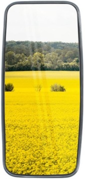 ЗЕРКАЛО НАРУЖНОЕ RIVAL ДЛЯ СЕЛЬСКОХОЗЯЙСТВЕННЫХ МАШИН 465x215 мм