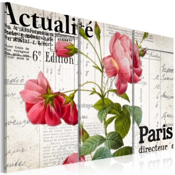 Obraz - Paris directeur - 90X60