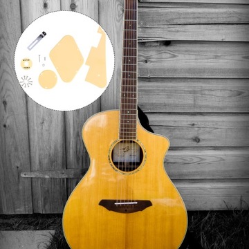 1 ZESTAW GITARA PICKGUARD PŁYTA TYLNA PRZEŁĄCZNIK