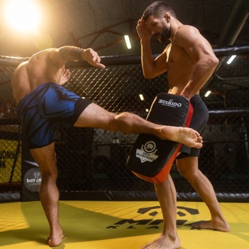 ТАЙСКИЙ ТРЕНИРОВОЧНЫЙ ЩИТ ДЛЯ МУАЙ ТАЙ БУШИДО 55х25