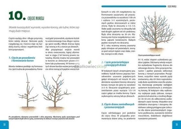 ИСКУССТВО ОБРЕЗКИ ПЛОДОВЫХ ДЕРЕВЬЕВ Эвелина Гударовска