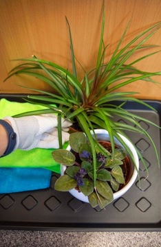 КОВРИК, ПОЛКА ДЛЯ ОБУВИ, КАПЕЛЬНИК, КОВРИК, 71x35