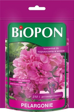Nawóz Koncentrat do pelargonii 250g Odżywka