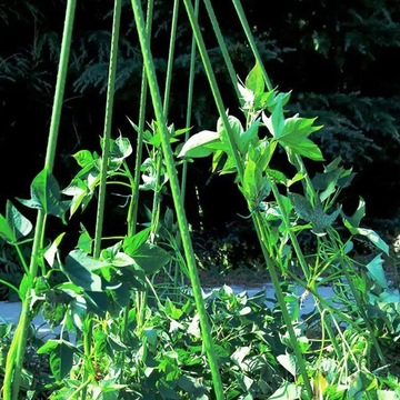 Опора с сеткой для огурцов и помидоров 180 см - Каркас для вьющихся растений