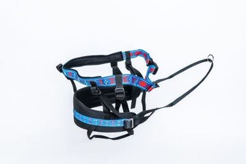 PAS MANMAT RACE PRO BELT TRICOLOR