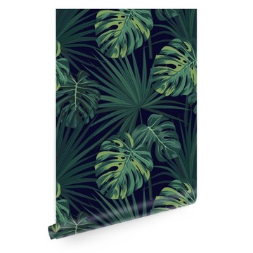 Tapeta liście monstera tropikalna T01603