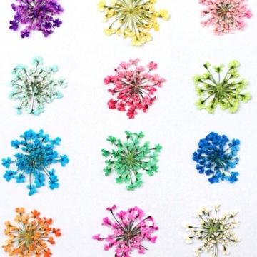 Высушенные цветы на ногтях украшения гибридные искусственные цветы кассета