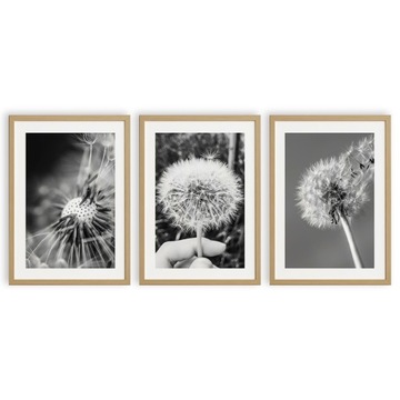 BOHO ZESTAW OBRAZ DMUCHAWIEC PLAKAT NATURA A3