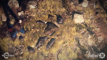 Fallout 76 (PC) KLUCZ Microsoft Store PL