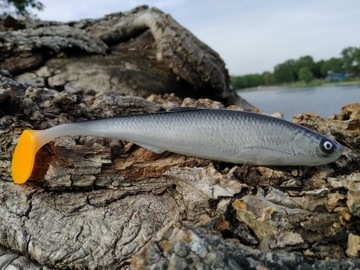 SEWRO CUSTOM UKLEJA czarna 16cm kopyto